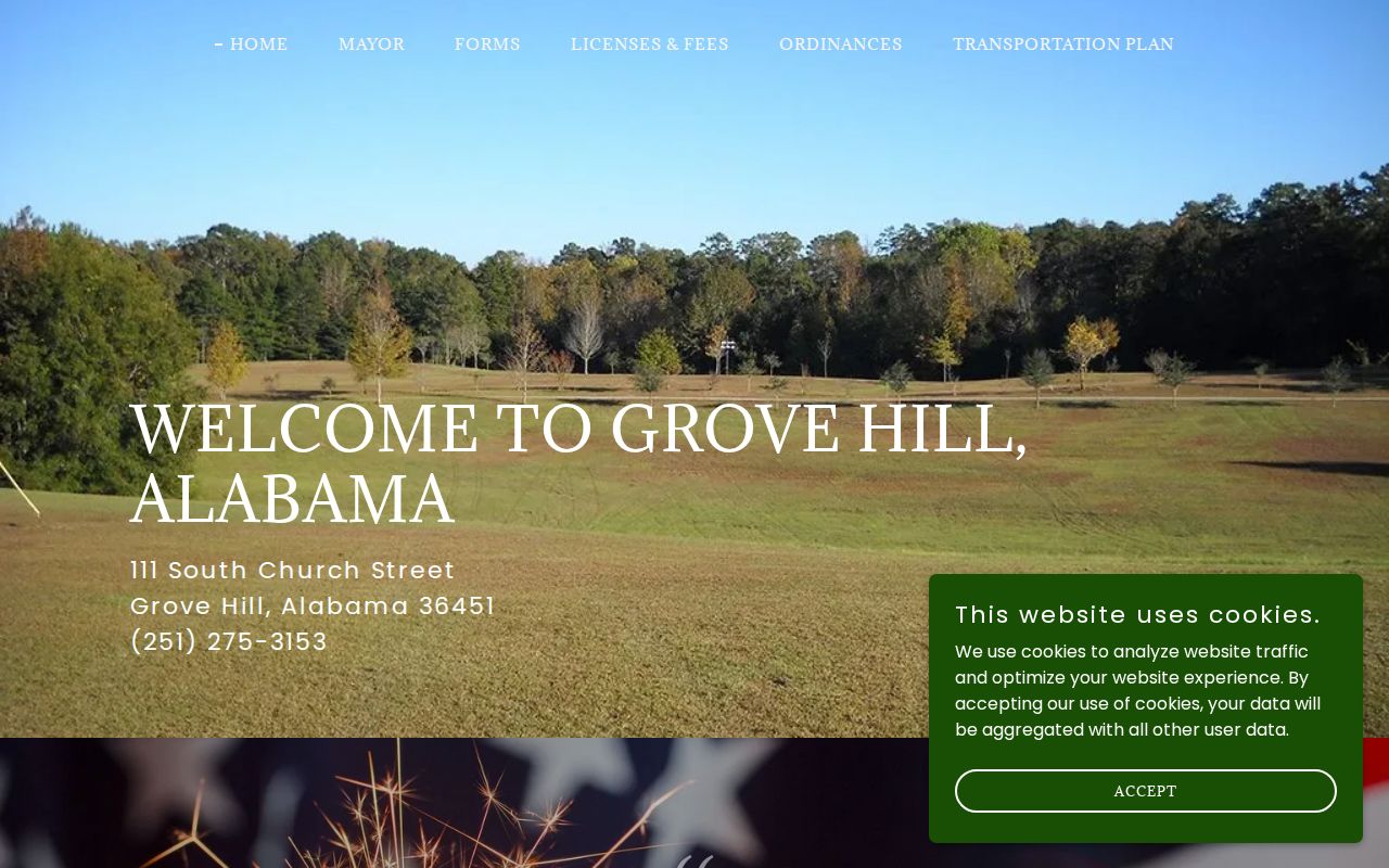 Grove Hill criminal history source from the Town of Grove Hill site